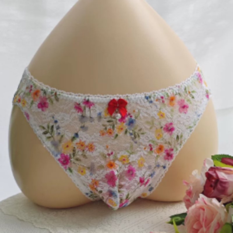 Embroidery Embellishments - Calzoncillos de Encaje Transparentes y Sexys