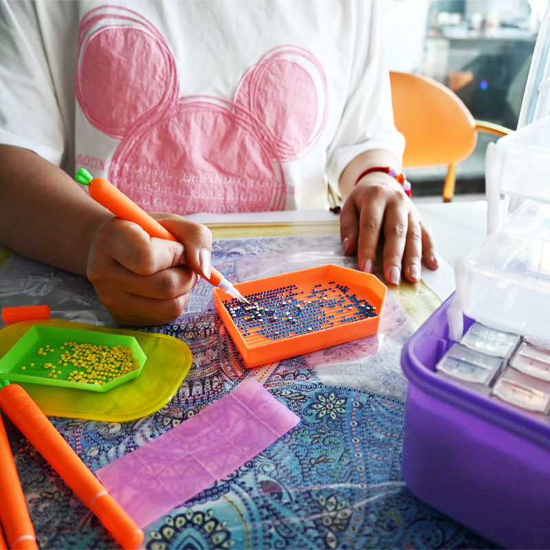 Herramientas de bordado de dia - Craft Embellishment Storage reseña y precio