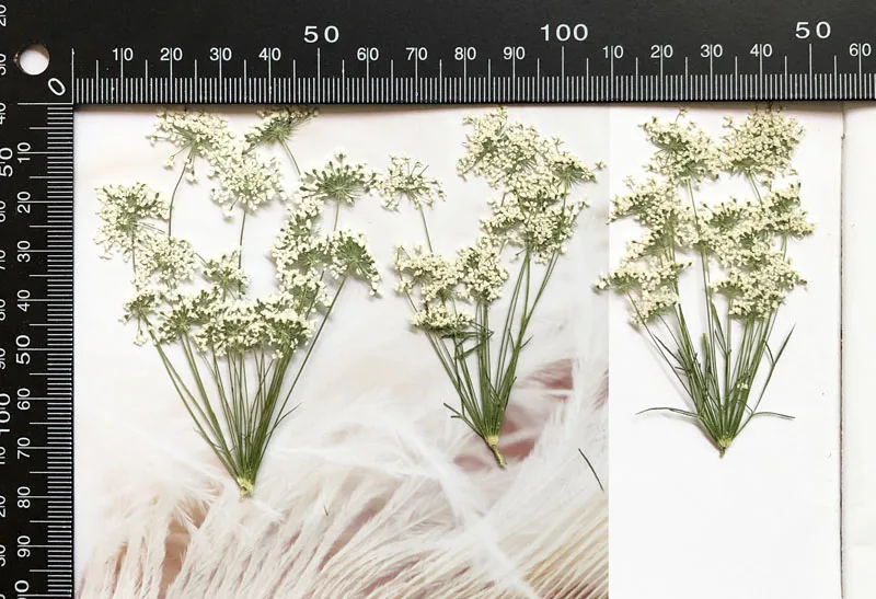 5-7 cm/12 piezas, flores peque - Craft Embellishment reseña y precio