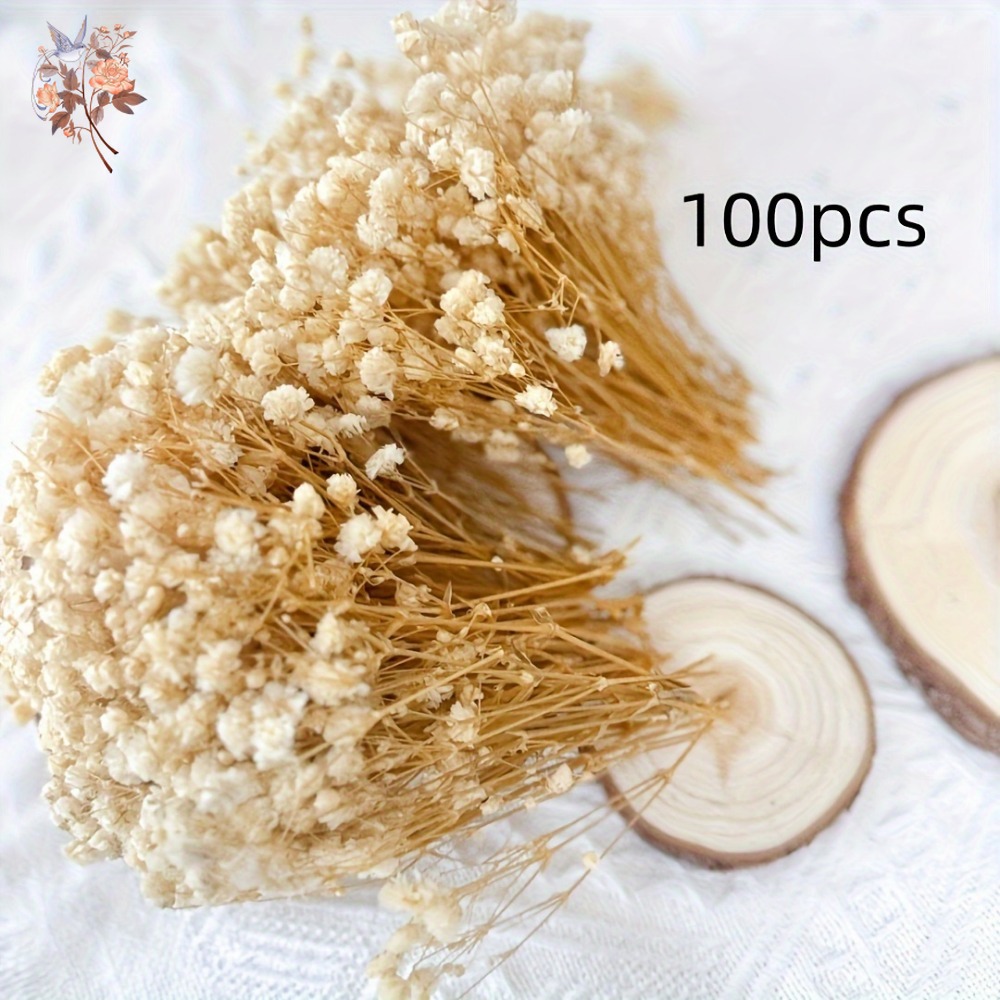 100 Piezas de Flores Secas de  - Craft Embellishment reseña y precio