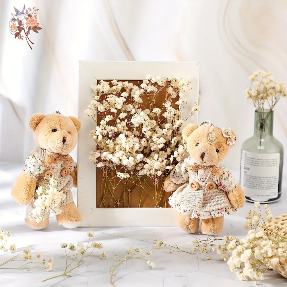 100 Piezas de Flores Secas de  - Craft Embellishment reseña y precio