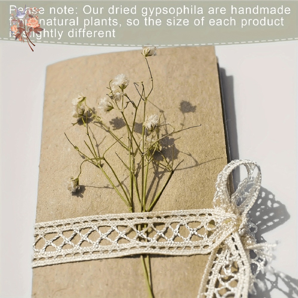 100 Piezas de Flores Secas de  - Craft Embellishment reseña y precio